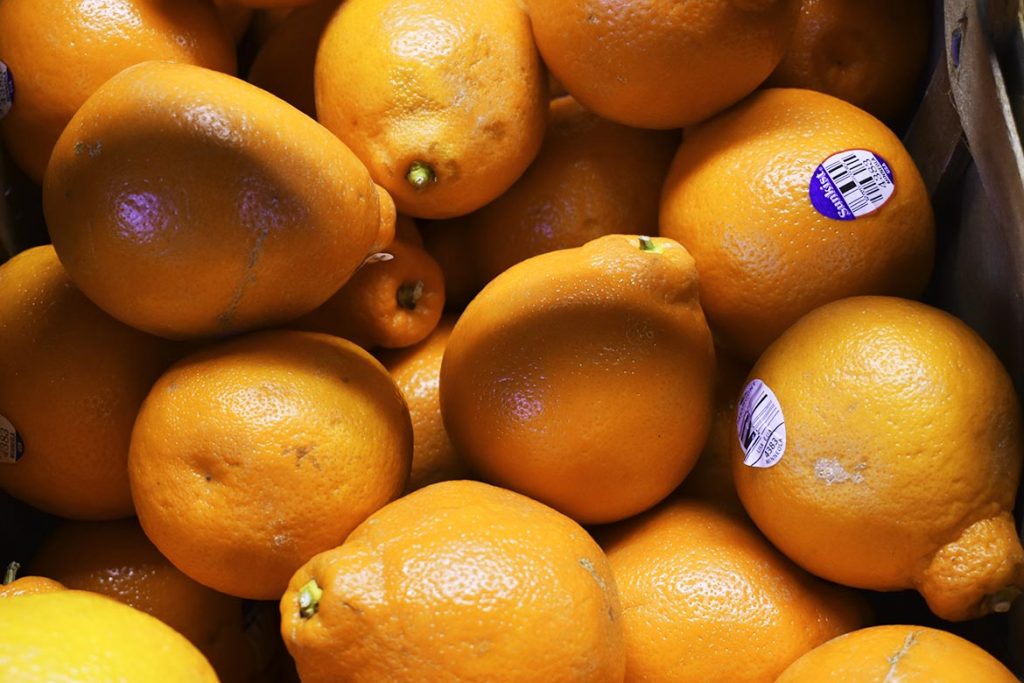 Honey Bell Oranges