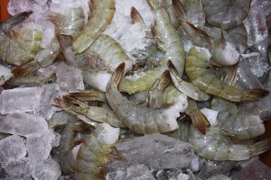 Myrtle Beach Fresh Shrimp